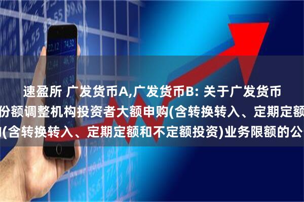 速盈所 广发货币A,广发货币B: 关于广发货币市场基金A类和B类基金份额调整机构投资者大额申购(含转换转入、定期定额和不定额投资)业务限额的公告