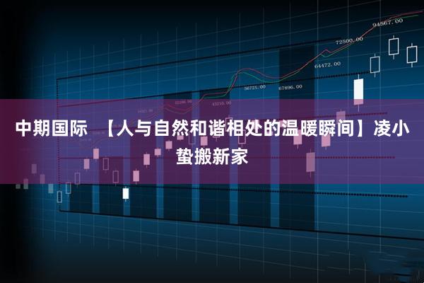 中期国际  【人与自然和谐相处的温暖瞬间】凌小蛰搬新家