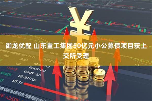 御龙优配 山东重工集团50亿元小公募债项目获上交所受理