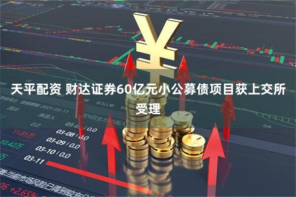 天平配资 财达证券60亿元小公募债项目获上交所受理